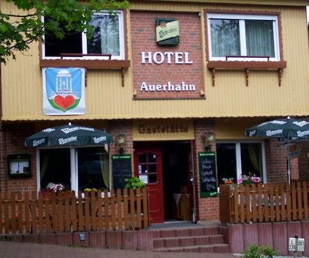 Hotel Auerhahn Bad Suderode Exterior foto